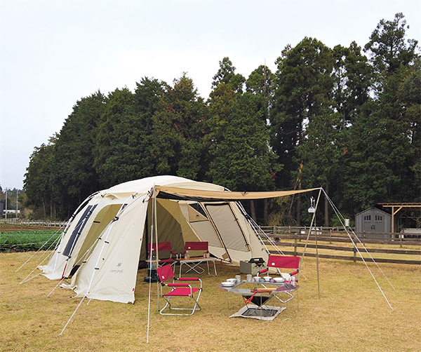 冬キャンデビュープラン