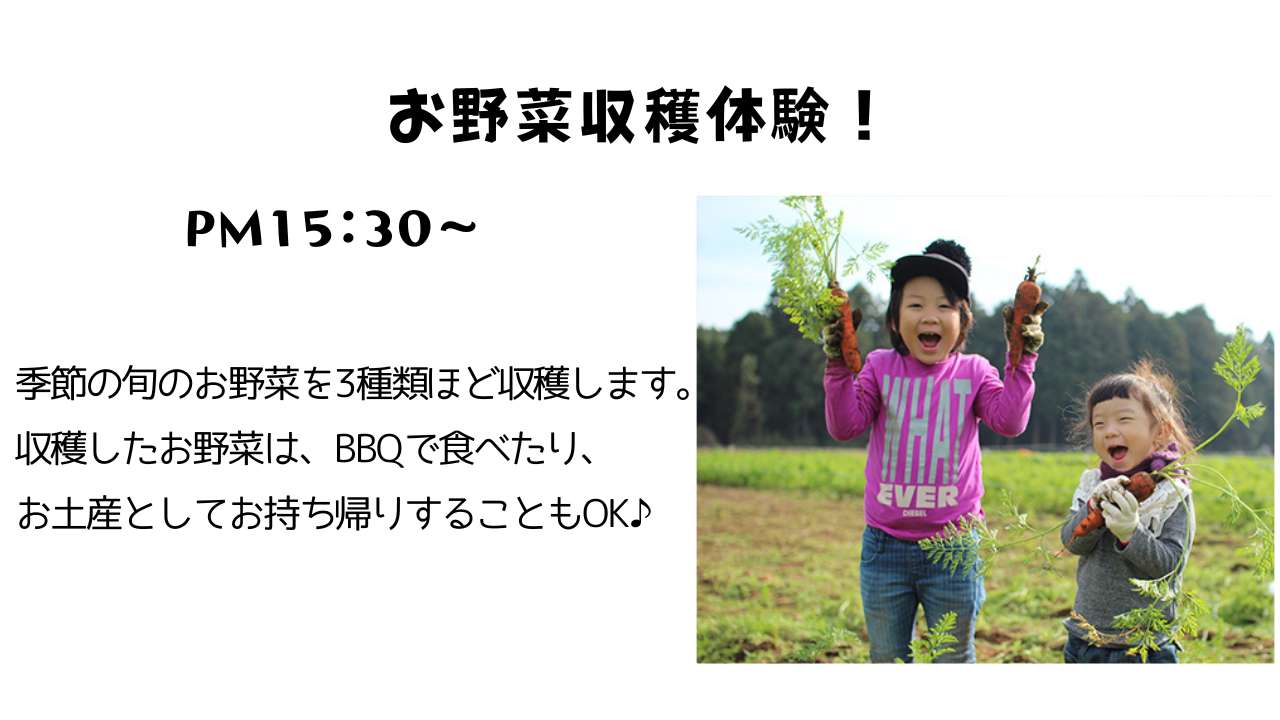 おすすめの過ごし方