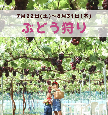 THE FARMぶどう園