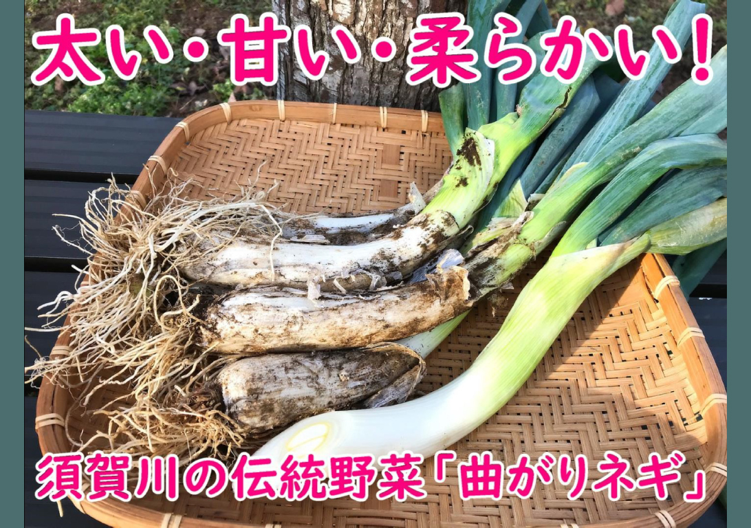 Ldh Kitchen Farmers Marketオフィシャルサイト 毎日の食をもっと楽しく 農業とつながりながら 皆さんのキッチンとファーマー達はつながっています