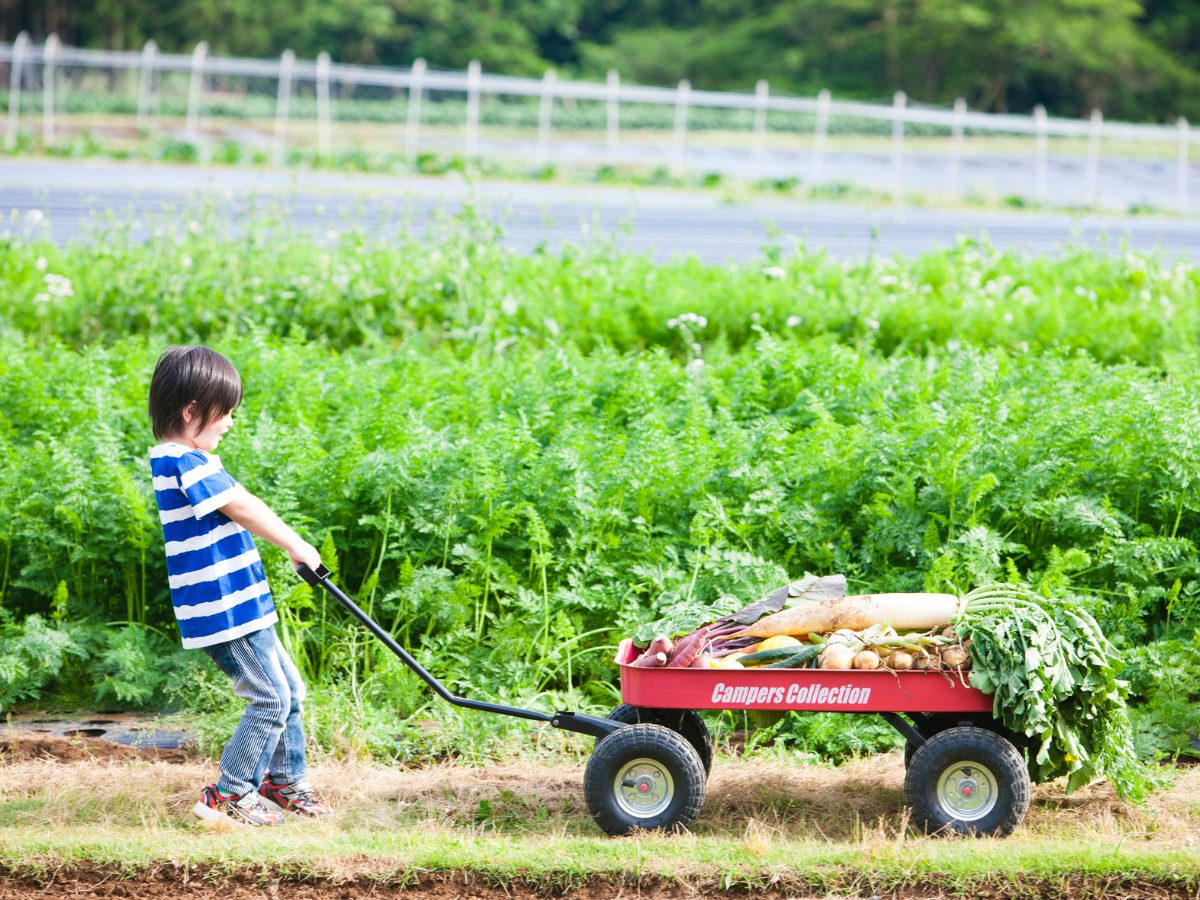 9月22日(日)満員御礼 、改めて「10月6日(日)」THE FARM MEMBERSHIP(貸農園会員) 秋の無料見学会を開催します