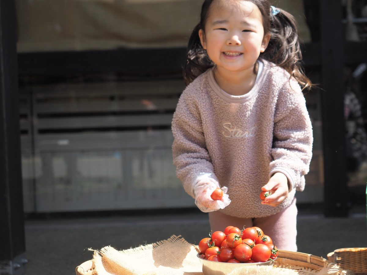 【3月1日からGWまで】野菜高騰の今だから、“収穫の楽しさ”を体験しながらおトクにゲット。土日祝限定”あま～いフルティカトマト”盛り放題イベント